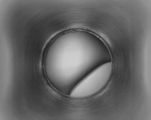 X0000112070880200908040948