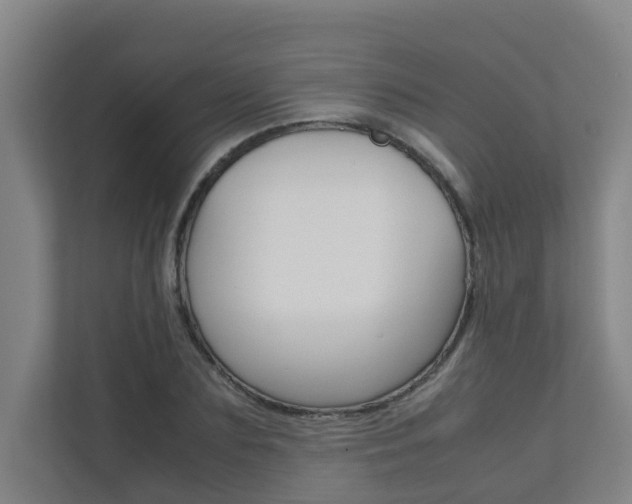 X0000112070883200908040948