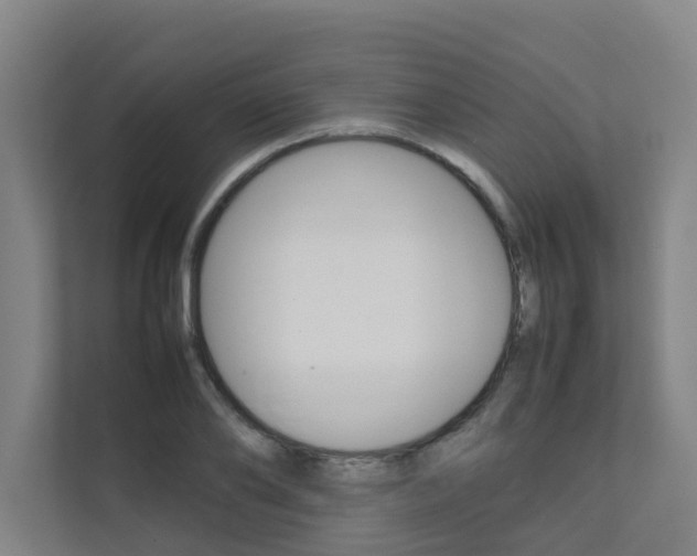 X0000112070886200908040948