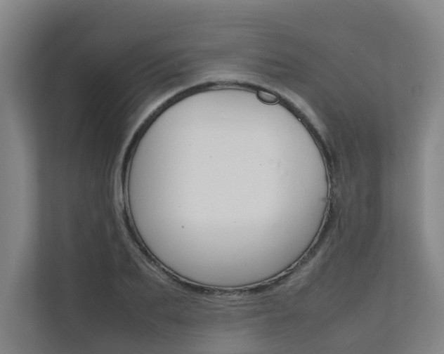 X0000112070887200908040948