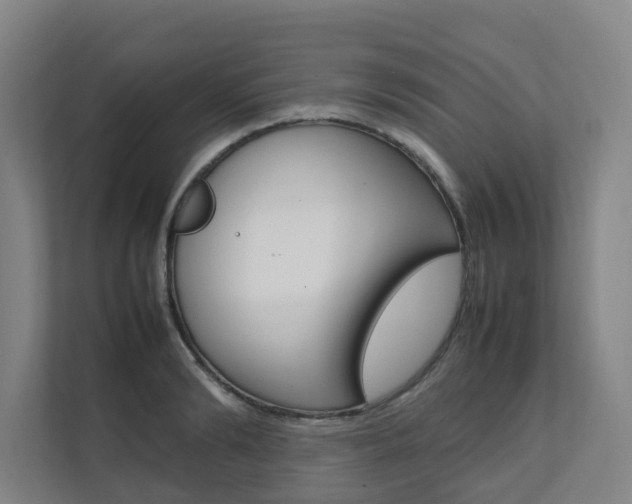 X0000112070894200908040948