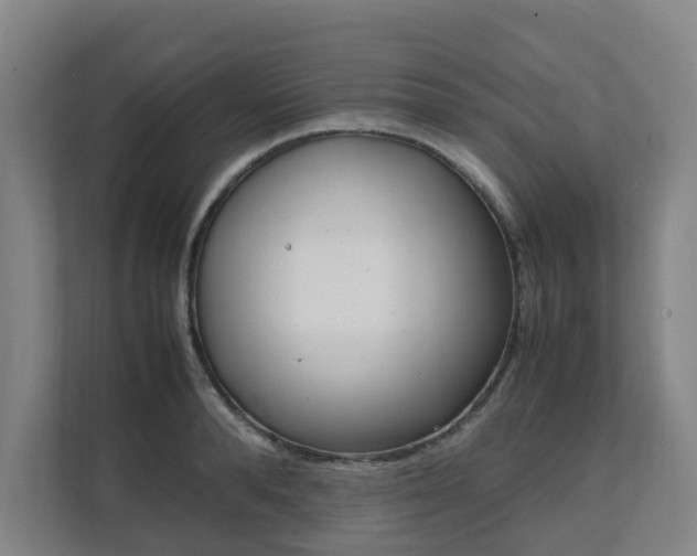 X0000112070896200908040948