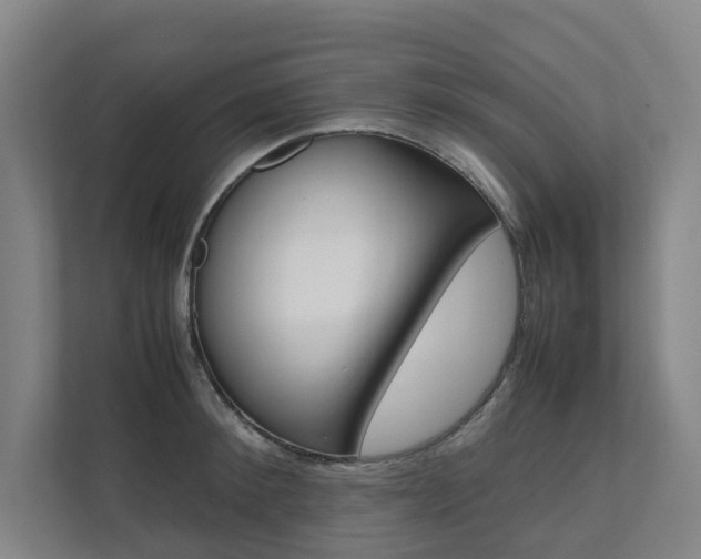 X0000112070900200908040948