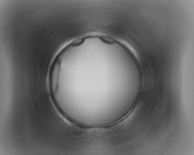 X0000112070902200908040948