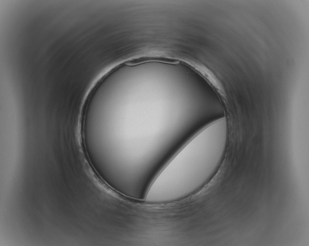 X0000112070904200908040948