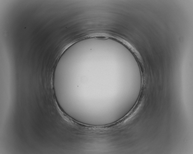 X0000112070905200908040948