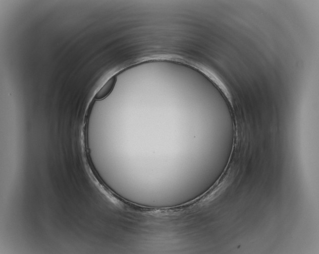 X0000112070906200908040948