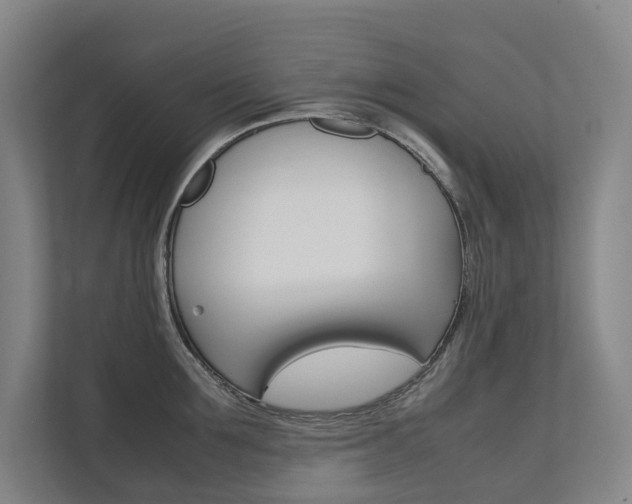 X0000112070907200908040948