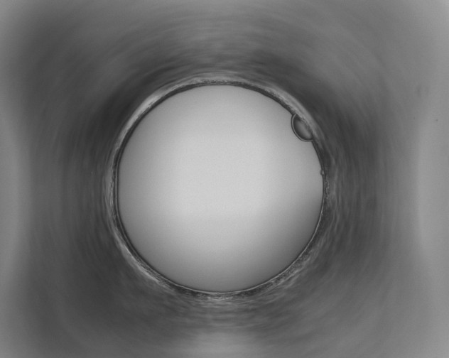 X0000112070911200908040948