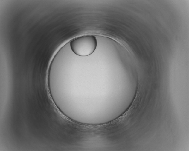 X0000112070912200908040948
