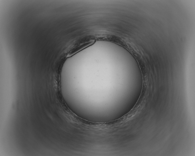 X0000112070916200908040947