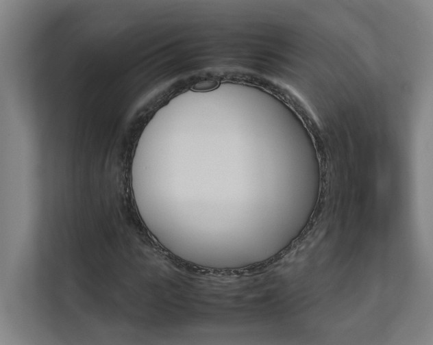 X0000112070919200908040947