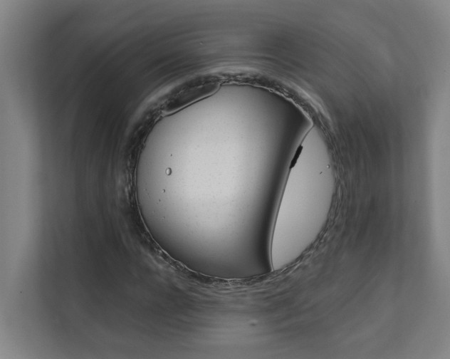 X0000112070920200908040947