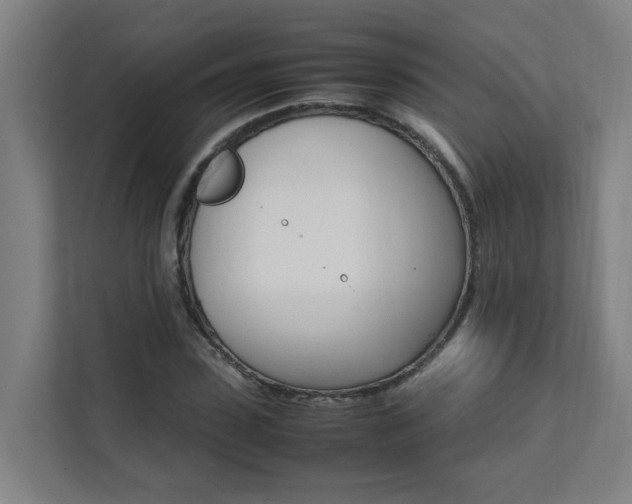 X0000112070923200908040947