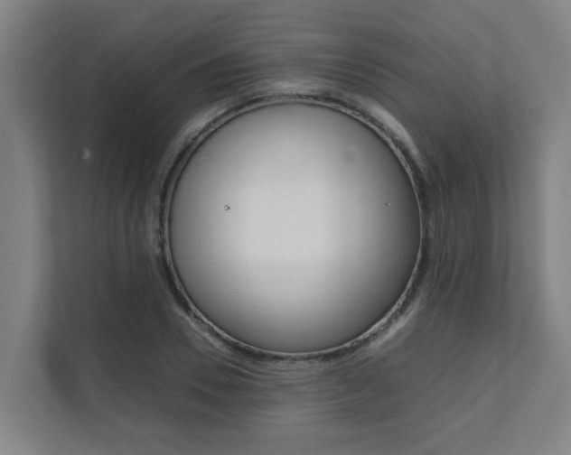X0000112070930200908040947