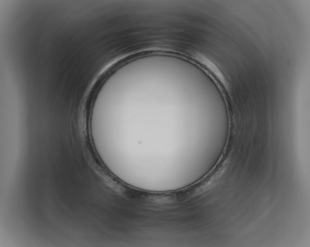 X0000112070931200908040948