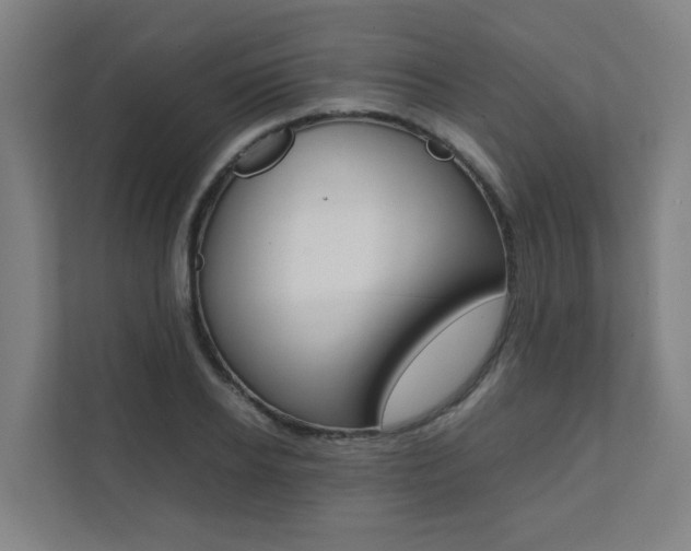 X0000112070934200908040948
