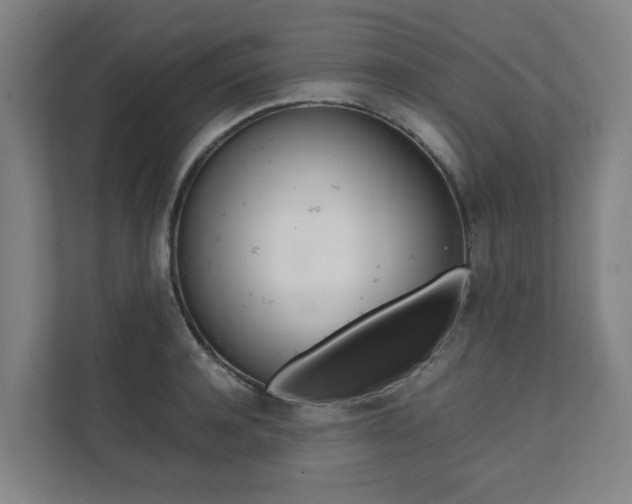 X0000112070944200908040948
