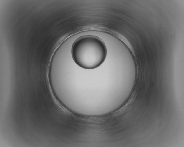X0000112070946200908040948
