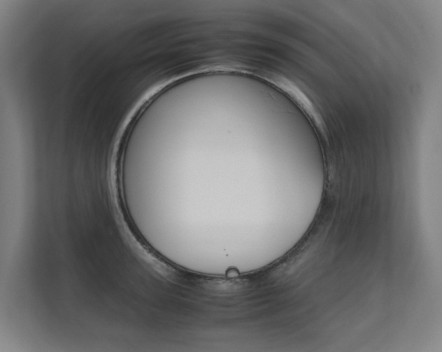 X0000112070947200908040948