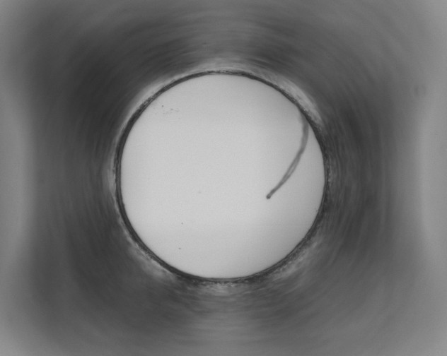 X0000112070950200908040948