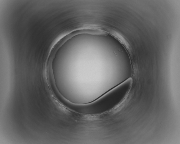 X0000112070952200908040948