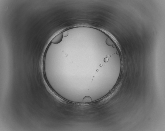 X0000112070957200908040948