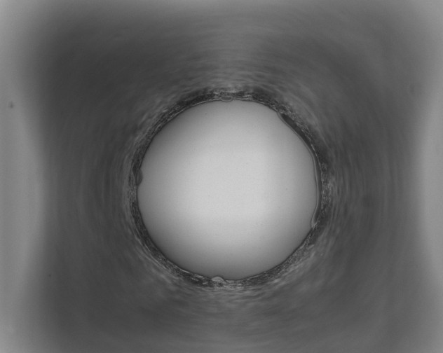 X0000112070961200908040947