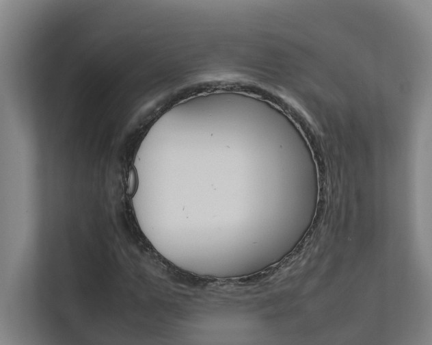 X0000112070967200908040947