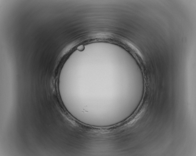X0000112070970200908040947