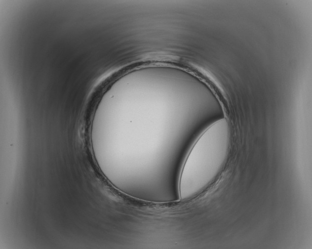 X0000112070971200908040947