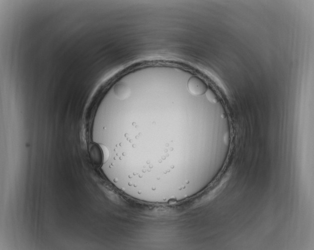 X0000112070974200908040947