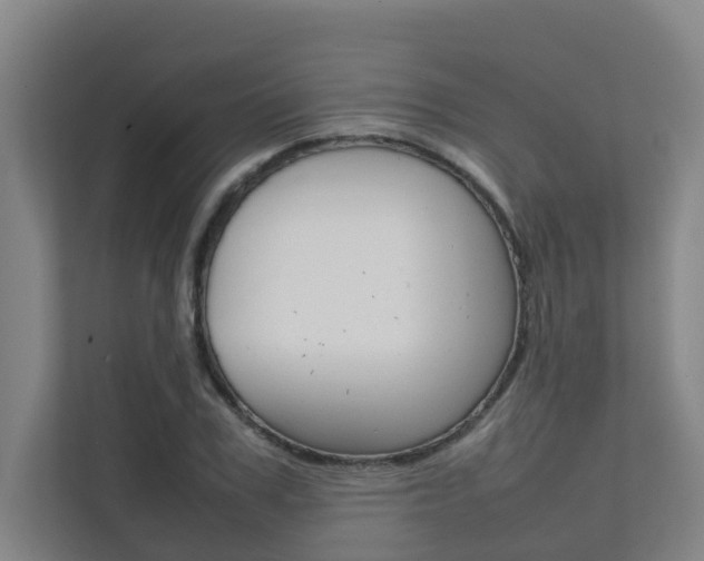X0000112070979200908040947