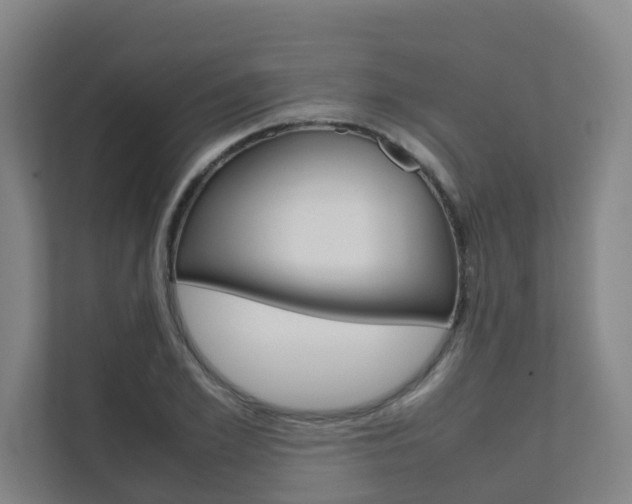 X0000112070981200908040947