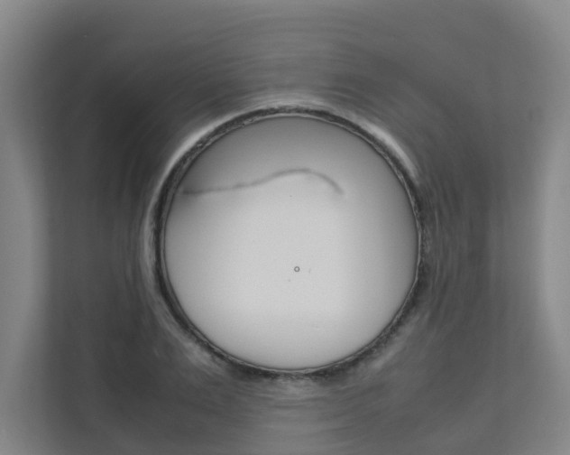 X0000112070983200908040947