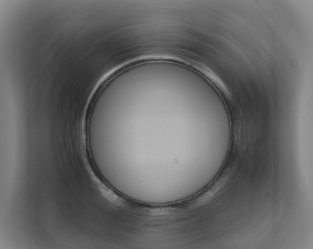 X0000112070988200908040947