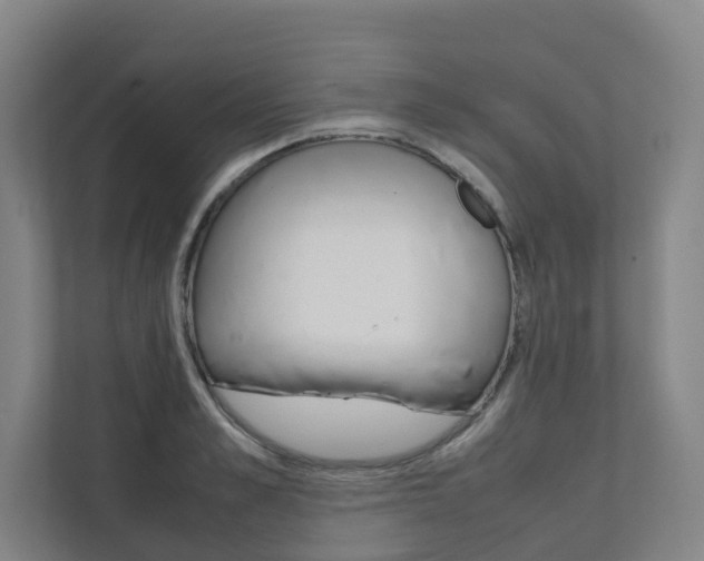 X0000112070989200908040947