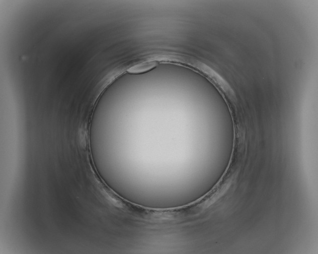 X0000112070993200908040947