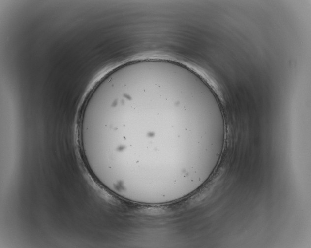X0000112070998200908040947