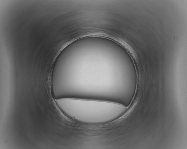 X0000112071001200908040947