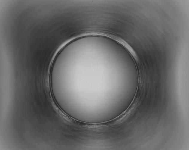 X0000112071004200908040947