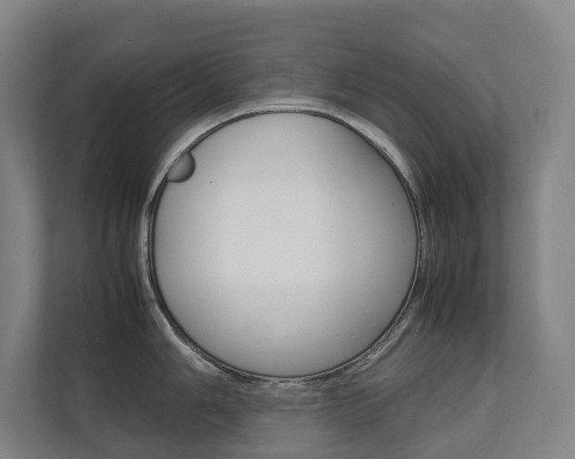 X0000112071006200908040947