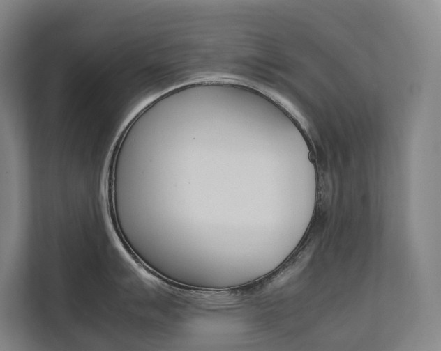 X0000112071007200908040947