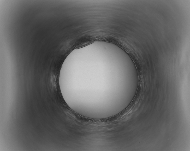 X0000112071010200908040946