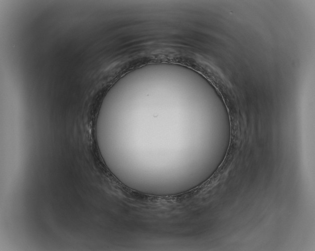 X0000112071013200908040946