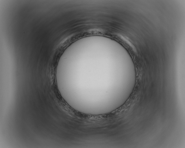 X0000112071015200908040946
