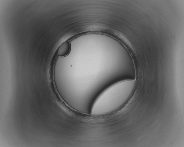 X0000112071026200908040946