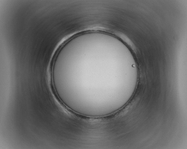 X0000112071032200908040946