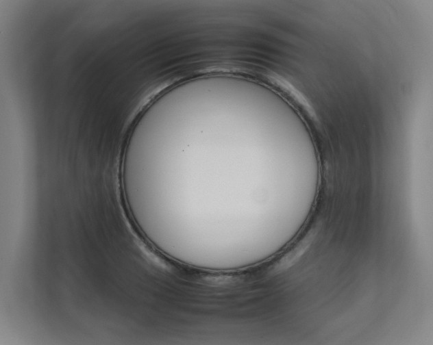 X0000112071033200908040946