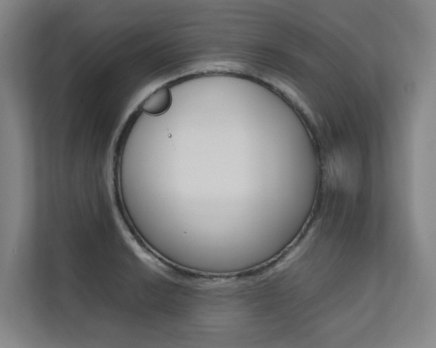 X0000112071038200908040946